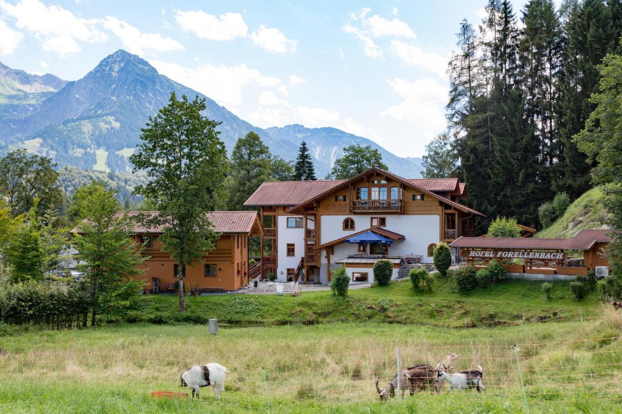 Hotel Und Apartements Im Forellenbach Fischen im Allgaeu Ngoại thất bức ảnh