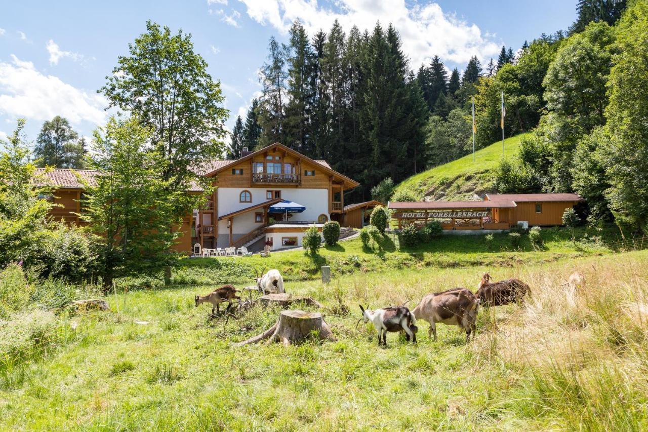 Hotel Und Apartements Im Forellenbach Fischen im Allgaeu Ngoại thất bức ảnh